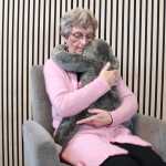 Demens-bamsen-Store-Bent